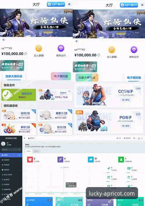 杏运娱乐平台网页版体验最新评测：揭秘流畅访问的必备要素