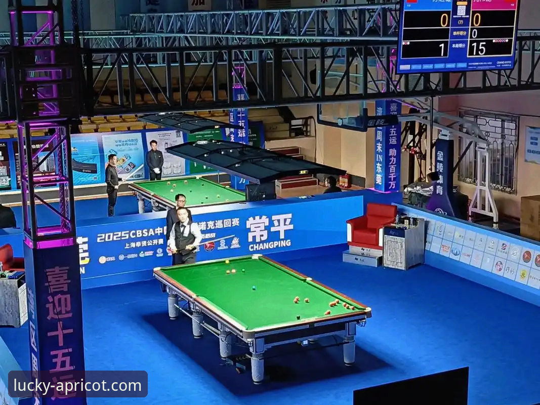 前瞻视角：从顶级赛事突发状况看杏运娱乐平台的稳定体验